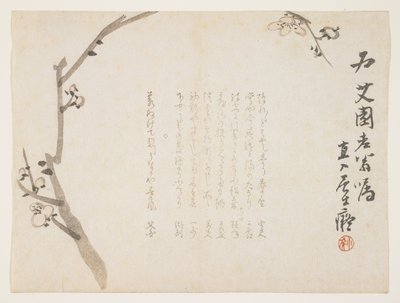 Plum blossoms, c.1848-53 by Tanomura Chokuny
